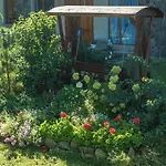 старе подвір'я