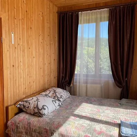 старе подвір'я Bed & Breakfast Verchovyna